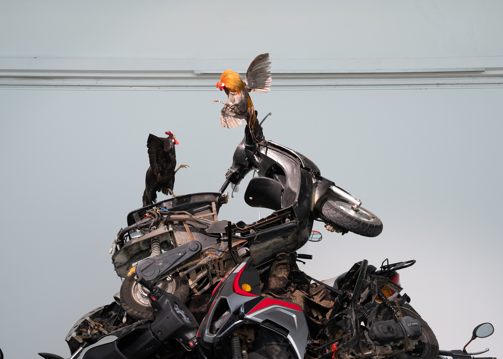 „ars viva 2025. Where will we land?“, Ausstellungsansicht Haus der Kunst 2025. Foto: Maximilian Geuter. „ars viva 2025. Where will we land?“, Ausstellungsansicht Haus der Kunst 2025. Foto: Maximilian Geuter.