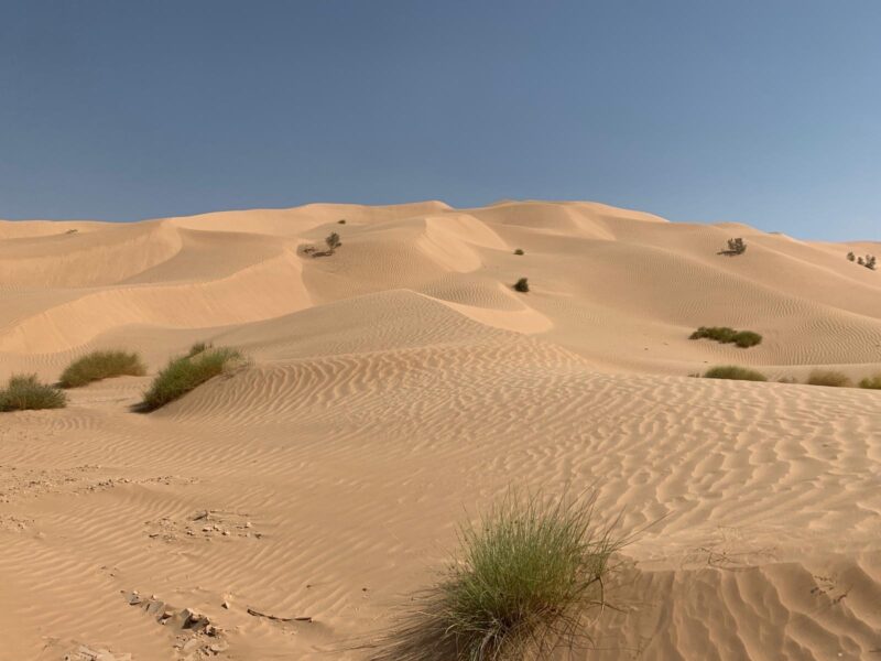 Desert captured by Monira Al Qadiri, 2019