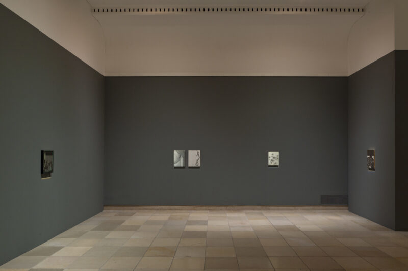 Victor Man: installation view Haus der Kunst, 2014, photo: Wilfried Petzi