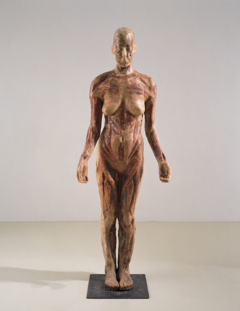 Kiki Smith: Virgin Mary, 1992. Wachs mit Pigment, Käseleinen und Holz, 171,5 x 66 x 36,8 cm. Foto: Ellen Page Wilson, courtesy Pace Gallery © Kiki Smith, courtesy Pace Gallery