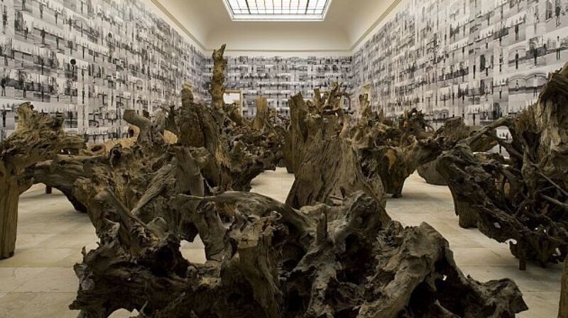 Ai Weiwei, Installationsansicht, Haus der Kunst 2009, Foto Wilfried Petzi