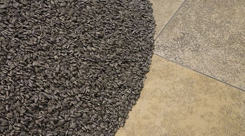 Ai Weiwei, Installationsansicht, Haus der Kunst 2009, Foto Wilfried Petzi