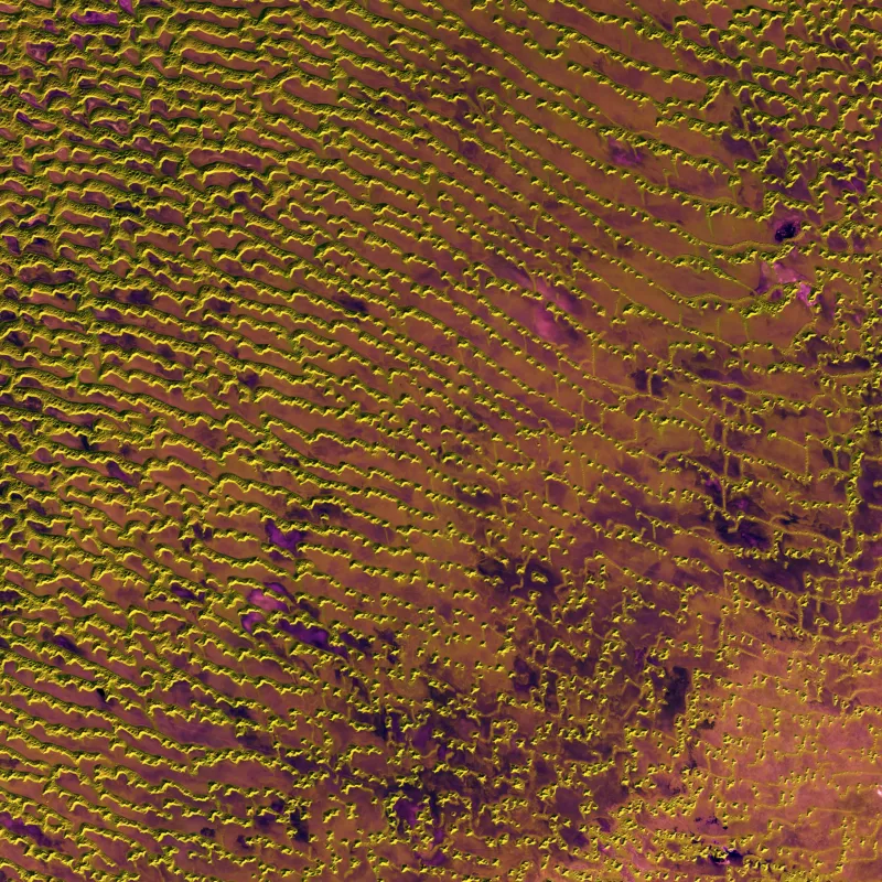 Rub al Khali Released 20/05/2016 10:00 am Copyright Contains modified Copernicus Sentinel data [2016], processed by ESA, CC BY-SA 3.0 IGO Photo: ESA