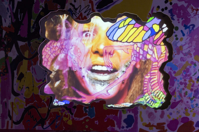 Assume Vivid Astro Focus, Walking on Thin Ice, 2003, 1-Kanal-Videoinstallation (Farbe, Ton) © the artist, Courtesy Sammlung Goetz, München