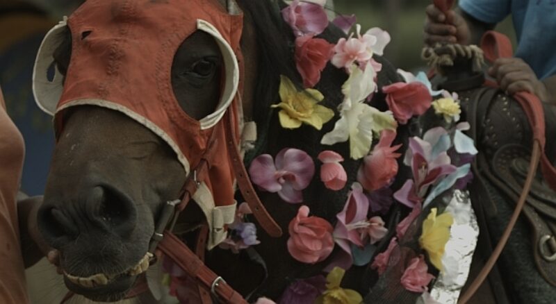 Mohamed Bourouissa: Horse Day, 2014, Filmstandbild. Courtesy the artist and kamel mennour, Paris © Mohamed Bourouissa