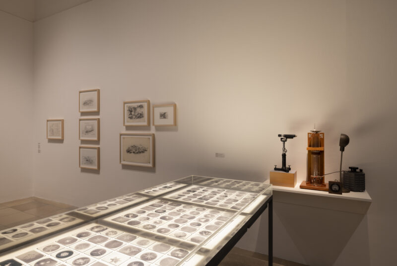 Fujiko Nakaya. Nebel Leben. Installation view. Haus der Kunst. 2022. Photo: Andrea Rossetti