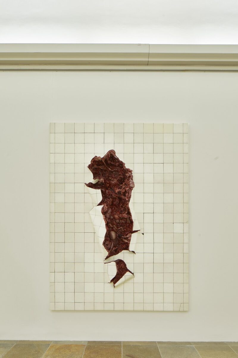Adriana Varejão, Azulejaria Branca em Carne Viva, 2002. Ausstellungsansicht, Innenleben (2020), Haus der Kunst, Connolly Weber Photography