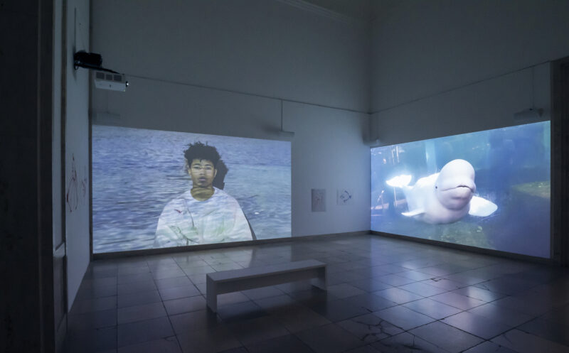 Joan Jonas, “Moving Off The Land II”, Installation view, Haus der Kunst, 2022. VG Bild-Kunst, Bonn 2022. Photo: Maximilian Geuter