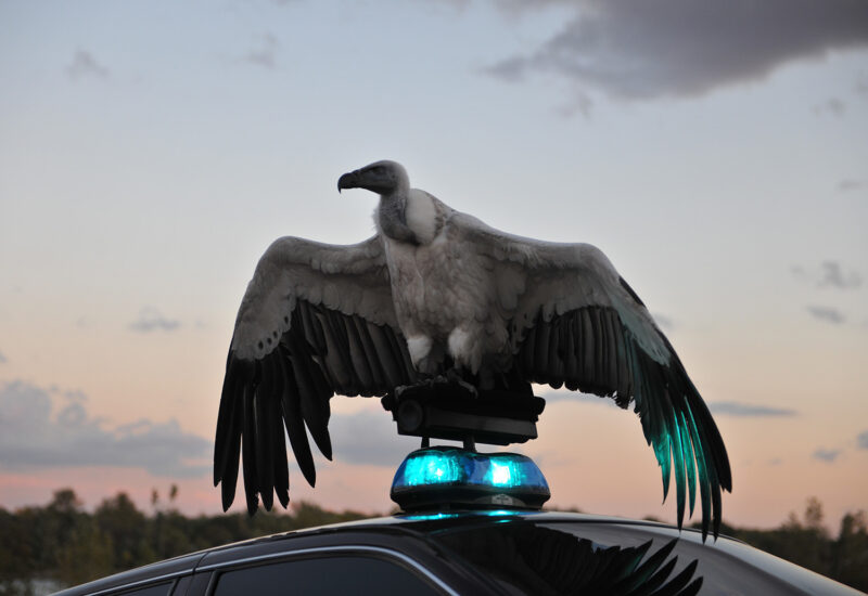 Matthew Barney und Jonathan Bepler: River of Fundament, 2014, Standbild, Foto: Hugo Glendinning © Matthew Barney. Courtesy Gladstone Gallery, New York and Brussels