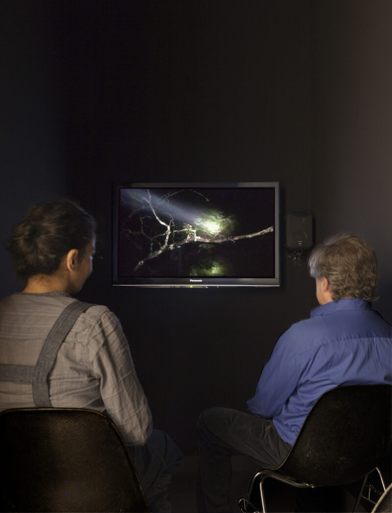 Janet Cardiff & George Bures Miller Night Canoeing, 2004 single channel video installation (color, sound) 50 x 90 cm installation view Haus der Kunst, 2012 photo: Wilfried Petzi