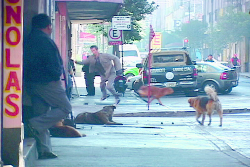 Francis Alÿs, Choques, 2005-2006, 9-channel video installation (color, sound) Courtesy Sammlung Goetz, Medienkunst, München