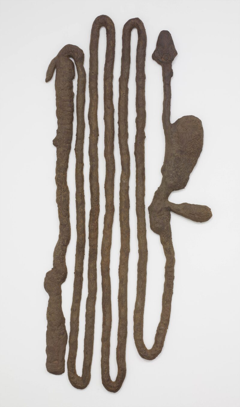 Kiki Smith: Digestive System, 1988. Dehnbares Eisen 157,5 x 66 x 12,7 cm. Foto: Ellen Labenski, courtesy Pace Gallery © Kiki Smith, courtesy Pace Gallery