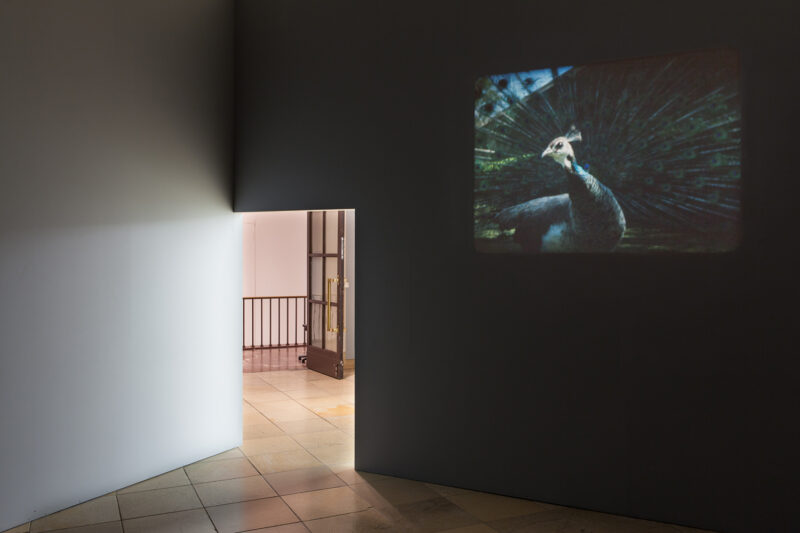 João Maria Gusmão & Pedro Paiva. Installation view, Haus der Kunst, 2016. Photo: Maximilian Geuter