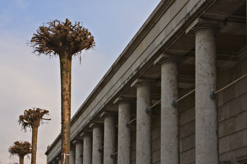 Gustav Metzger Strampelde Bäumf Installation mit kopfüber gestürzten Bäumen auf der Terrasse des Haus der Kunst, 2010 Foto: Marino Solokhov