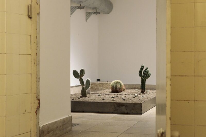 Cyrill Lachauer. I am not sea, I am not land, Installation view, Sammlung Goetz in Haus der Kunst, 2020, Courtesy Sammlung Goetz, Munich, Photo: Thomas Dashuber