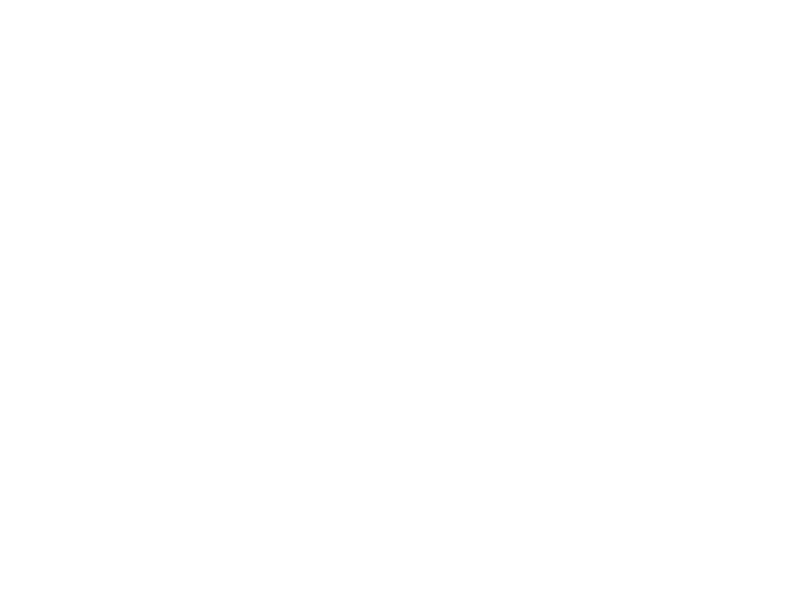 Schering Stiftung SST Logo Plain Black 1920x1440px One Color png