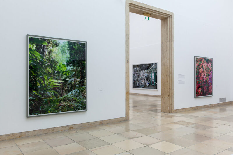 Thomas Struth, Figure Ground Haus der Kunst 2017 Installation view Photo: Maximilian Geuter