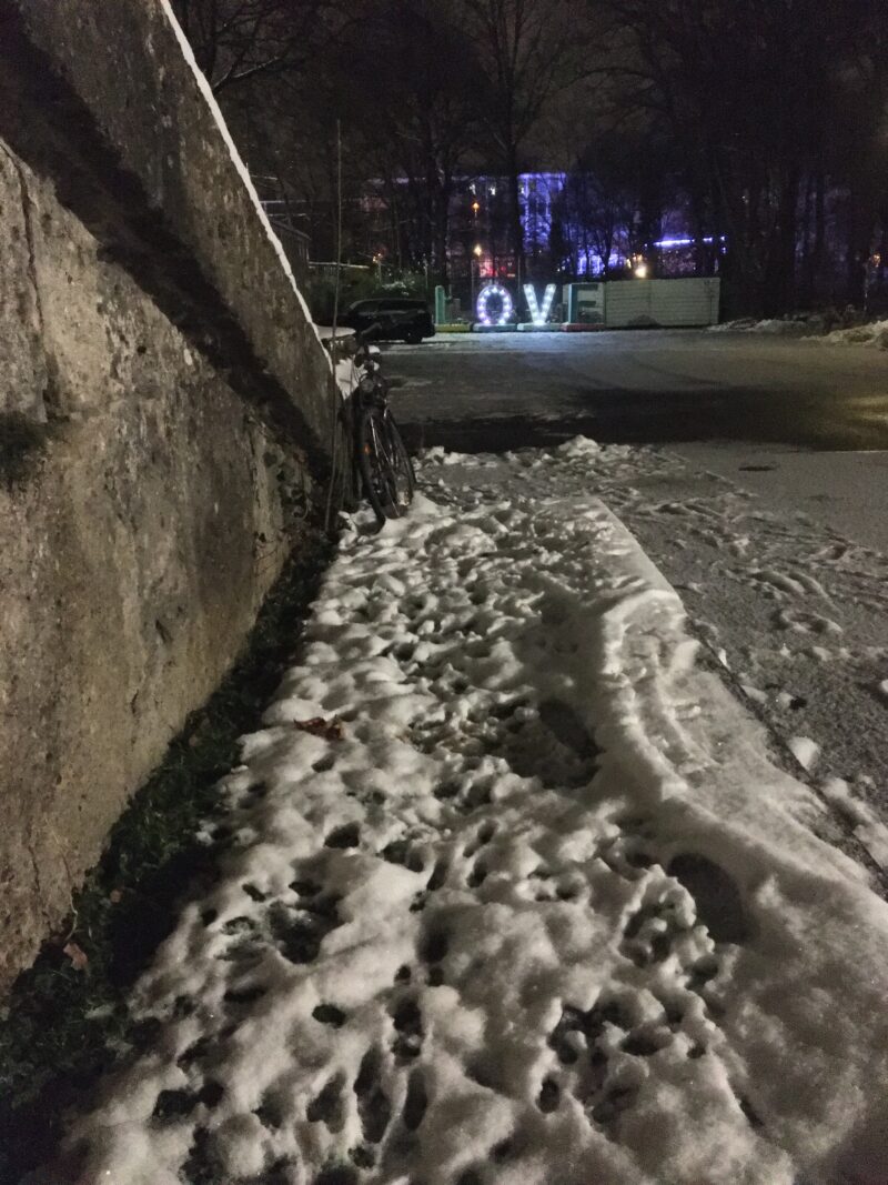 rabbit tracks in front of the broken LOVE-light, Photo: Christine Wunnicke