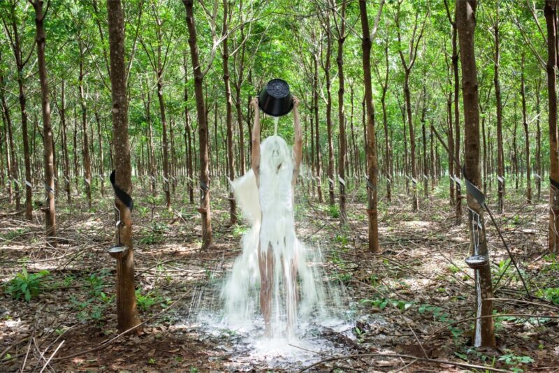 Khvay Samnang, Rubber Man, 2014, Digital C-Print, Courtesy of Artist