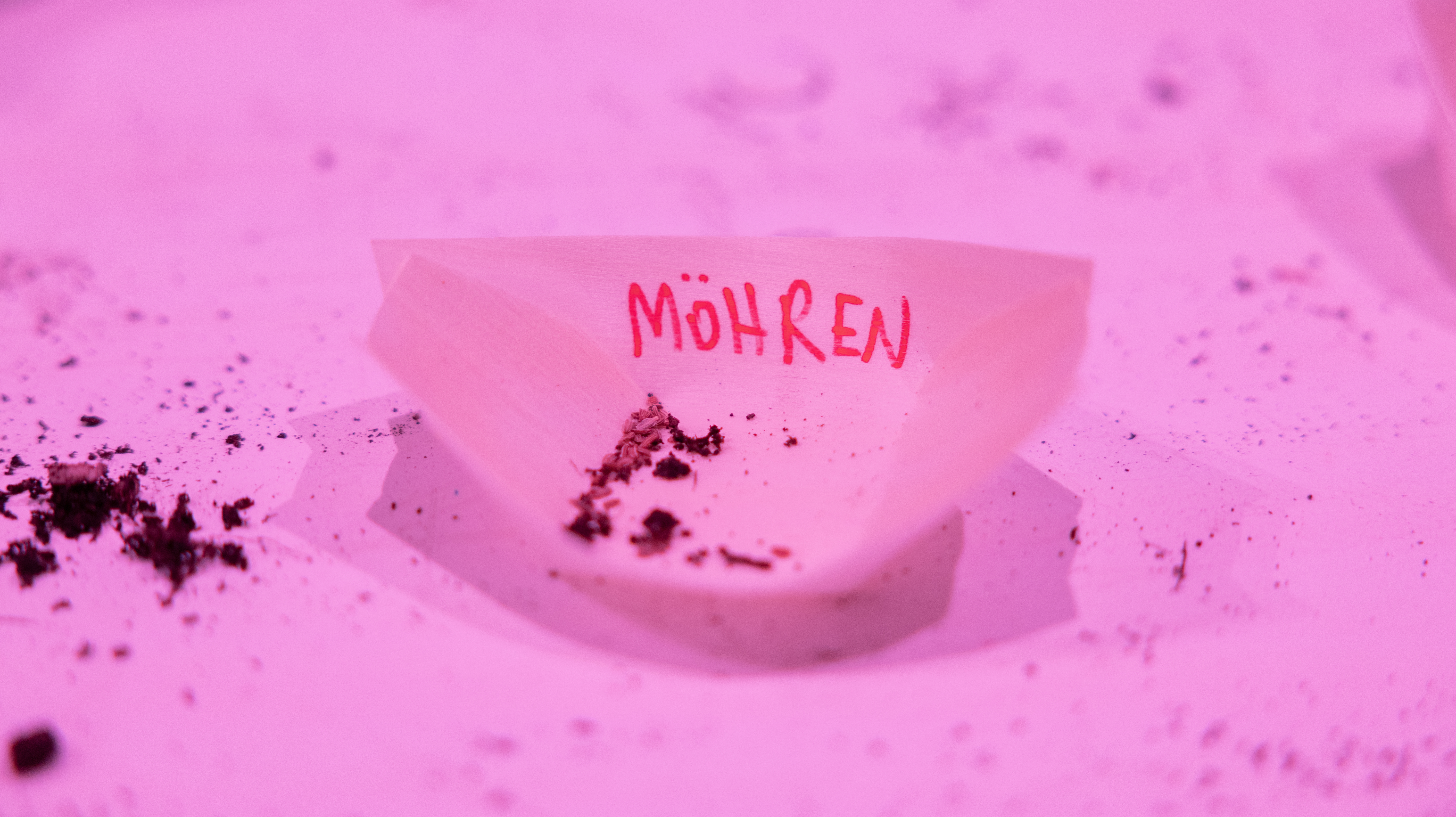 Haus der Kunst, Gemeinschaftsgarten, Open Haus, 2026. Fotos: Constanza Melendez.