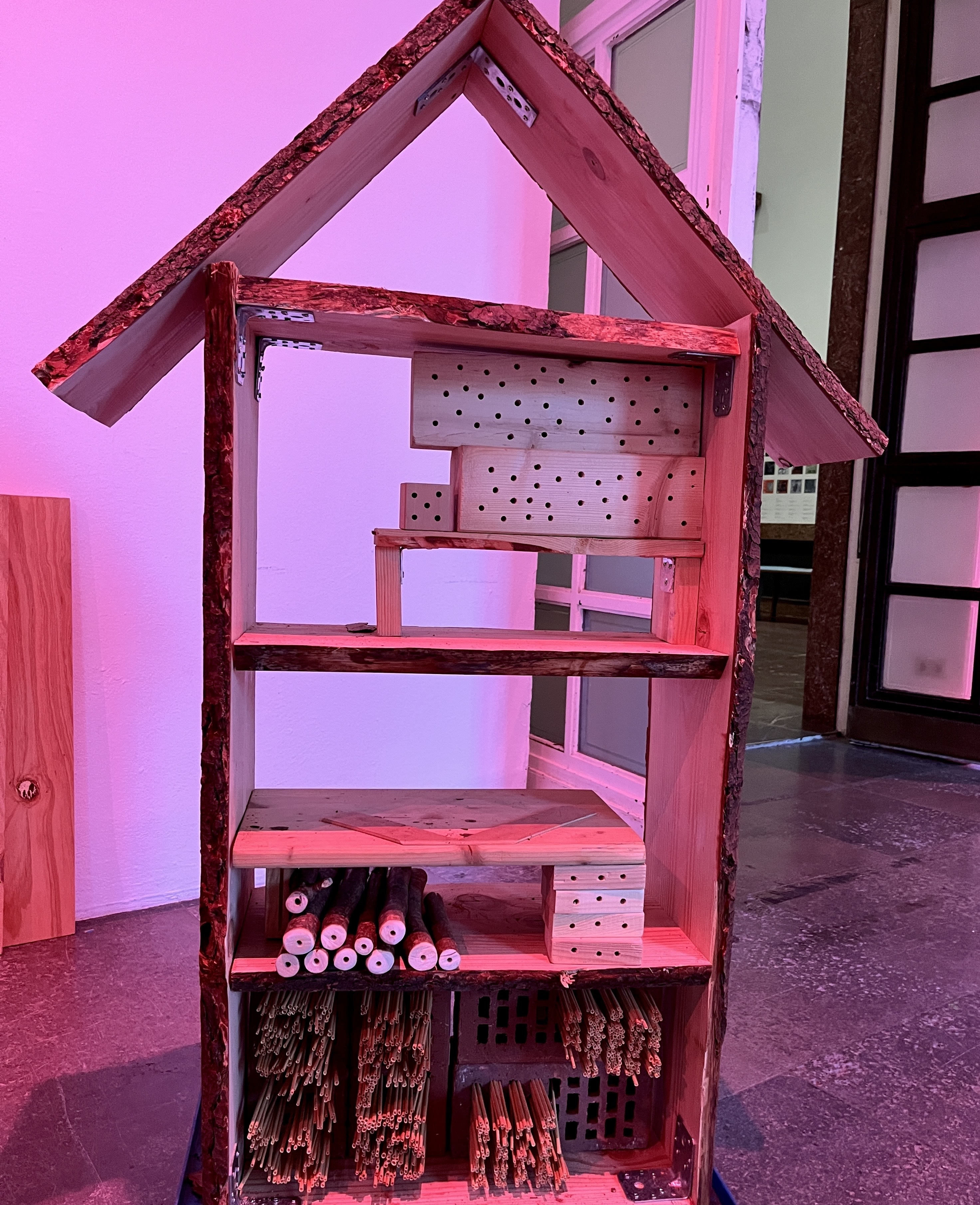 Haus der Kunst, Gemeinschaftsgarten, Open Haus, 2026. Foto: Janine Rosenbrock.