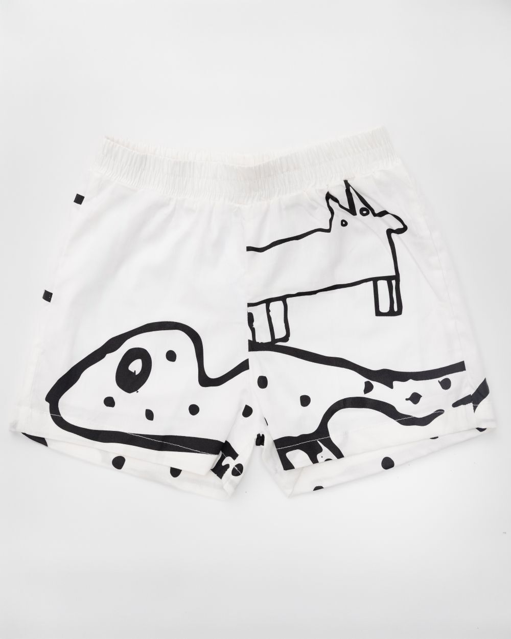Tomás Saraceno, Swimsuit, Photo: Studio Tomás Saraceno Swim Shorts with drawing