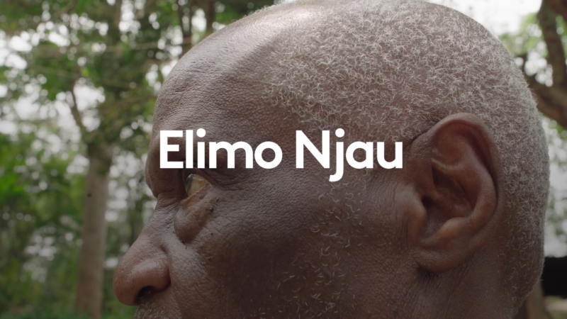 Elimo Njau png