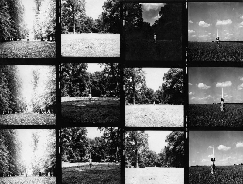 Several black and white photos, taken in nature.