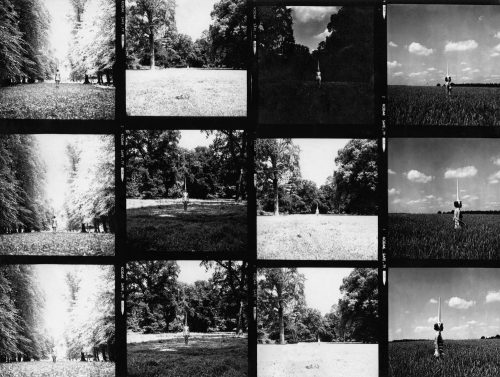 Several black and white photos, taken in nature.