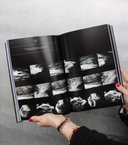 Katalog Steina.