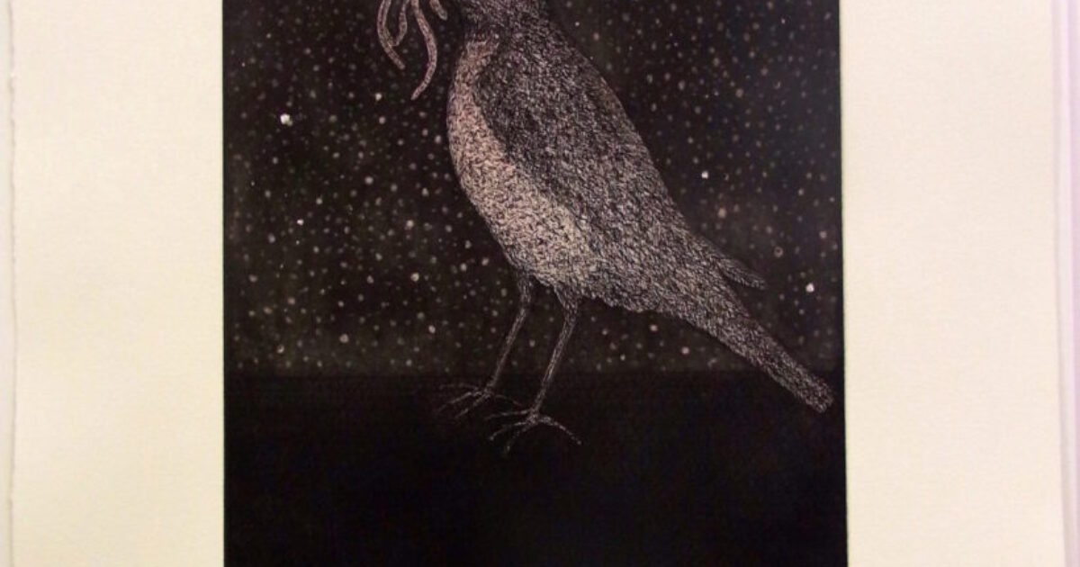 Kiki Smith Procession 洋書 Kiki Smith Procession 洋書 本