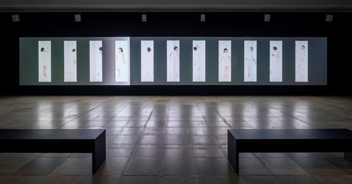 【未開封】hide private collection in MUSEUM Inside the Egyptian Museum with Zahi Hawass: Collector's