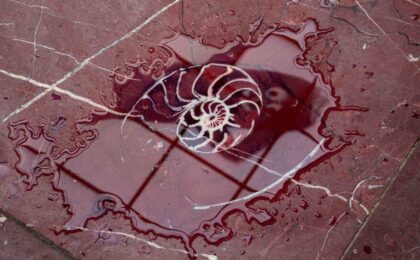 Detail of the floor in Haus der Kunst with the outline of a snail-shaped ammonite