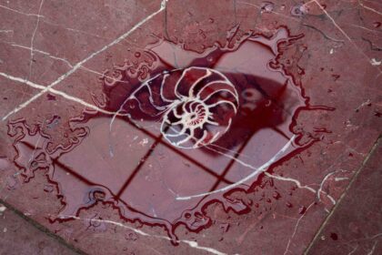 Detail of the floor in Haus der Kunst with the outline of a snail-shaped ammonite