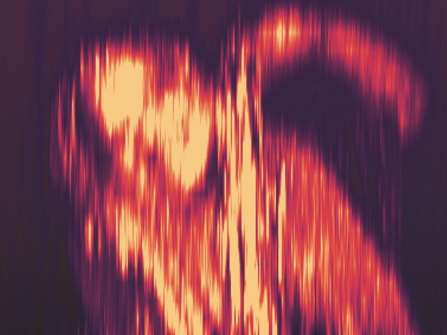 Haus der Kunst TUNE 2026