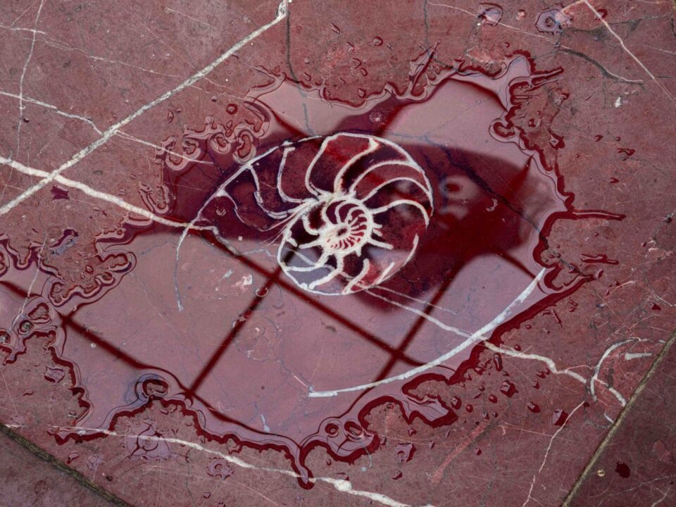 Detail of the floor in Haus der Kunst with the outline of a snail-shaped ammonite